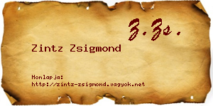 Zintz Zsigmond névjegykártya
